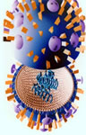 vírus Gripe