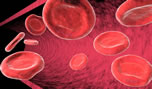 Conselhos para a terapia da anemia