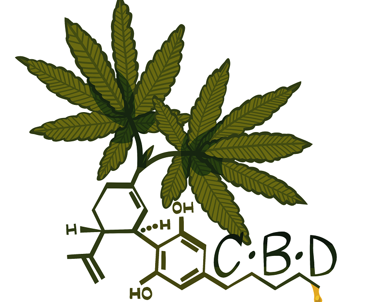 CBD e THC no tratamento da dor